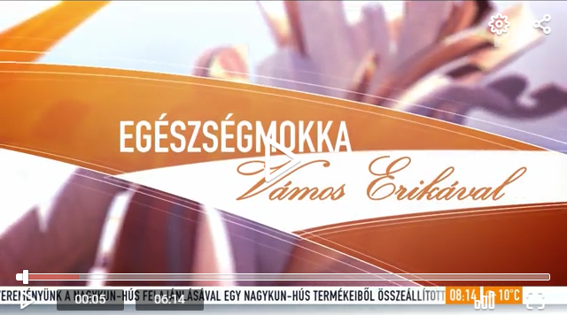 A TV2 Mokka Egészségrovatának interjúja